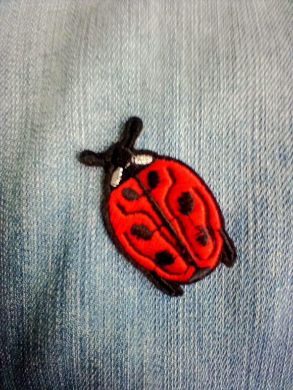 Patch Coccinelle